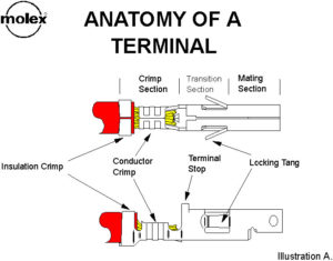 molex pinout download